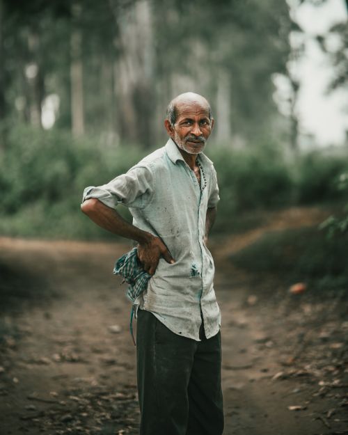 Free An elderly man poses with hands on hips on a forest path, embodying rural serenity. Stock Photo