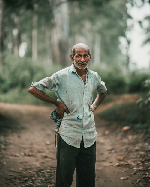 Free Portrait of an elderly man with hands on hips, standing confidently in a forest pathway. Stock Photo