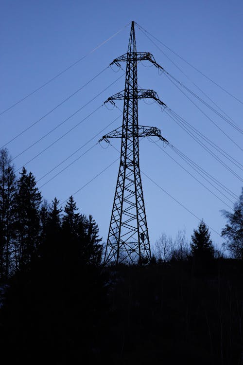 Gratis arkivbilde med elektrisitet, kraftoverføringstårn, skog