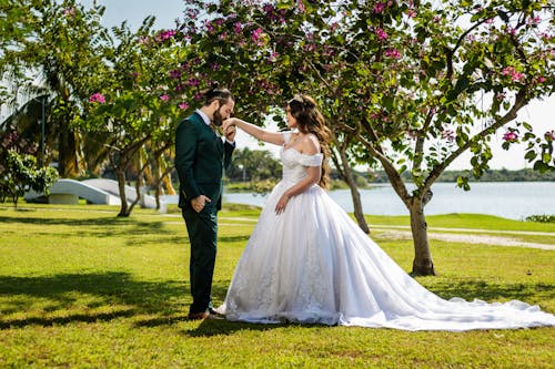 결혼 사진, 공원, 나무의 무료 스톡 사진