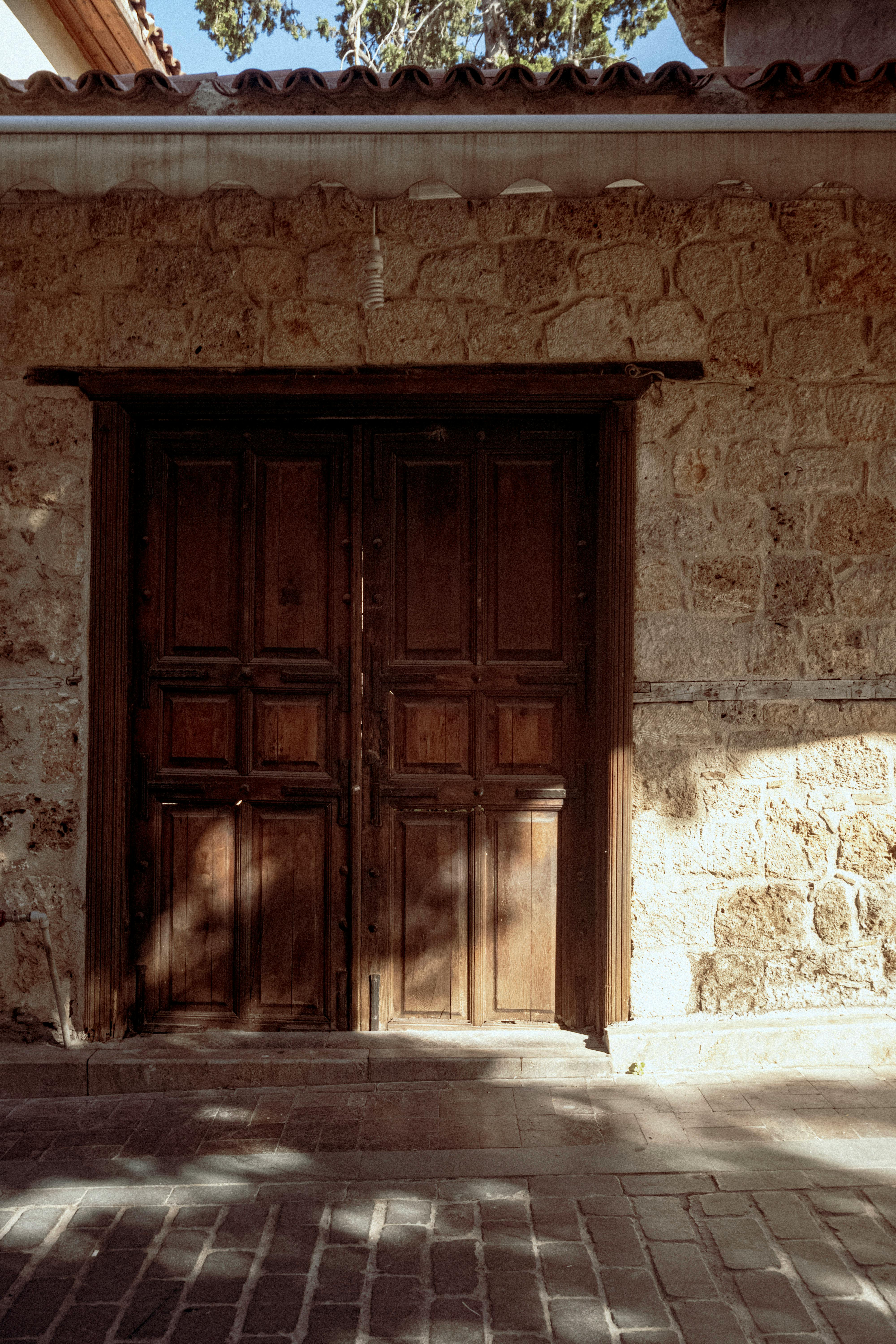 Ambush Ancient Doors There Covered Tree Stock Photo 632494289