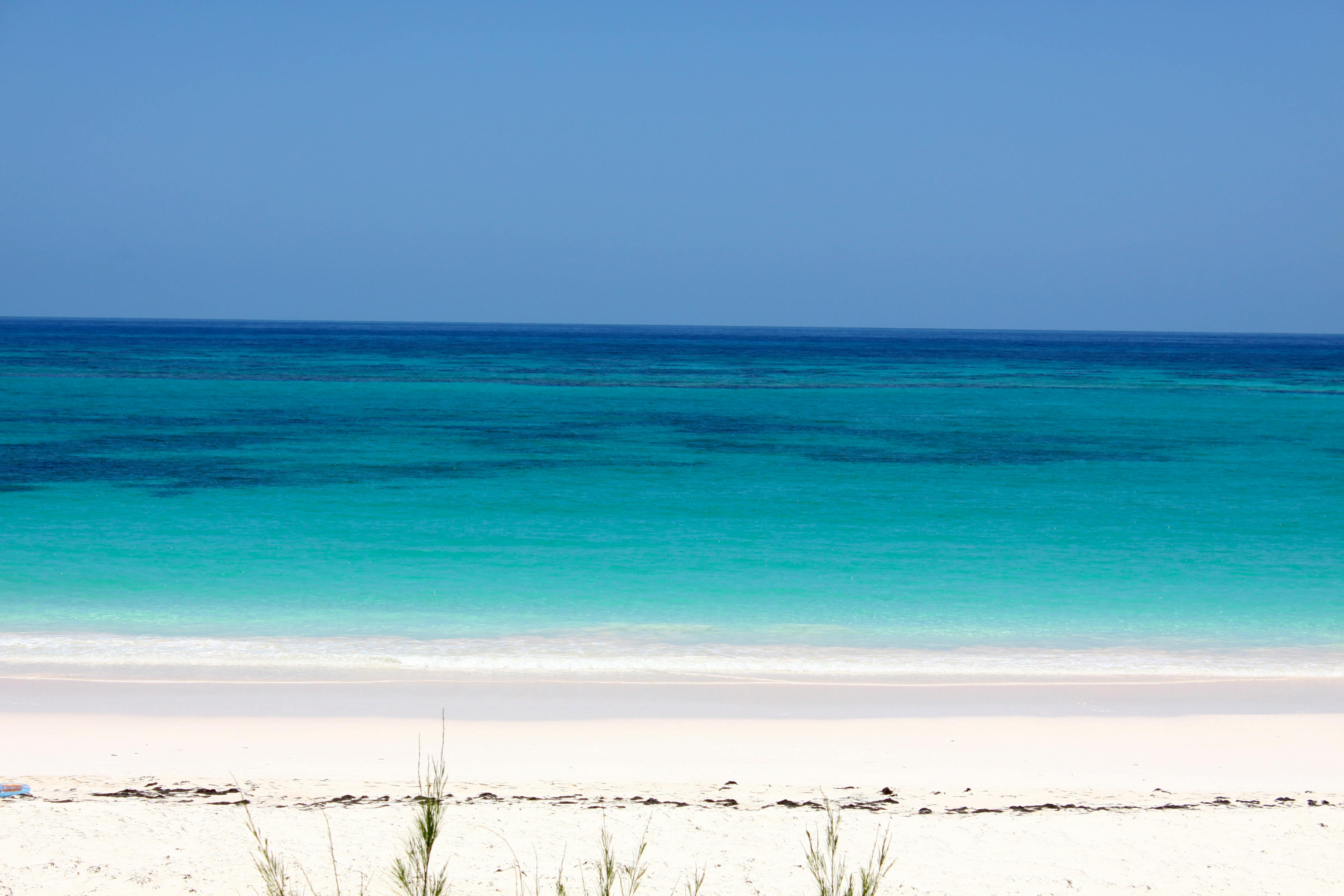 Free stock photo of bahamas, beach, green