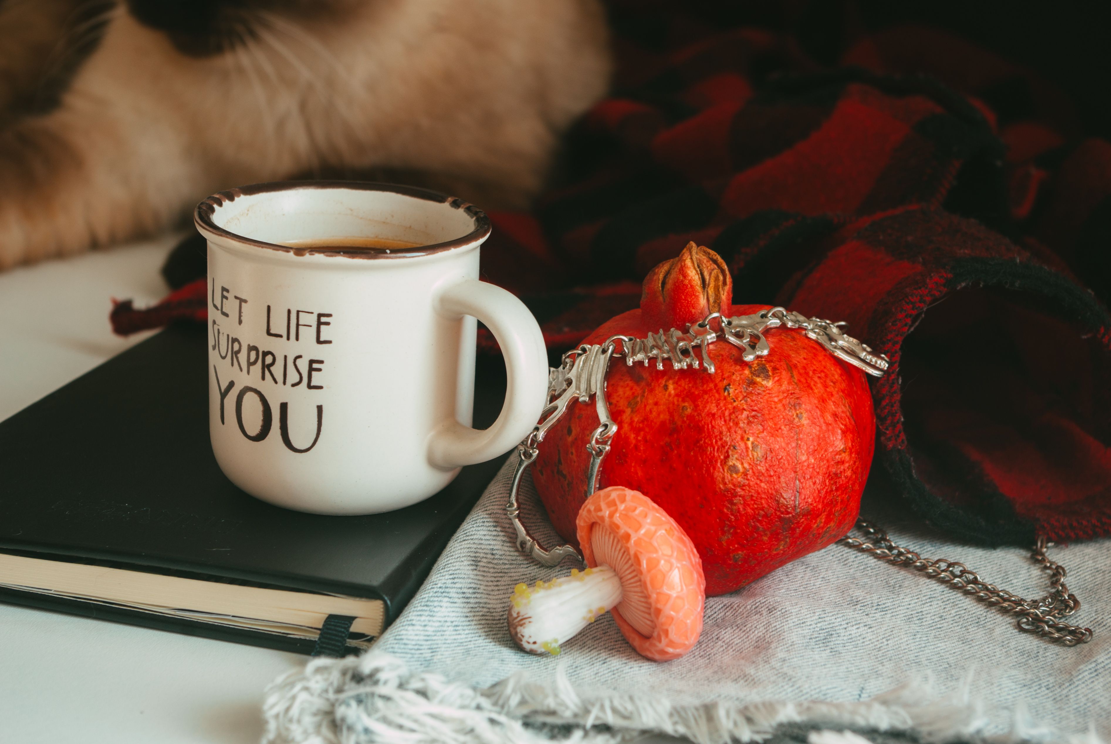 Pomegranate Molasses Warm Drink