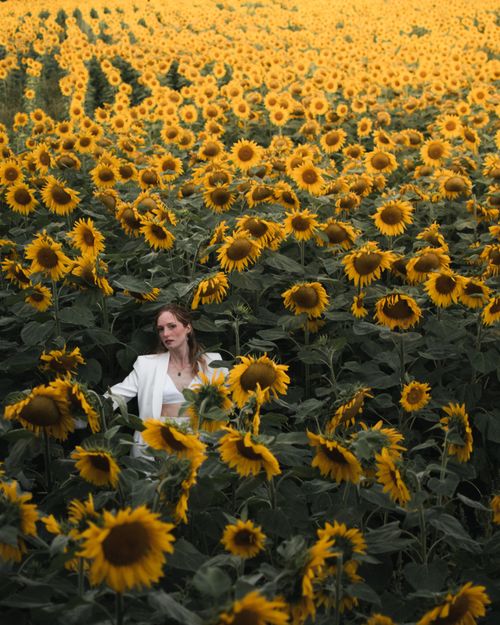 Woman in White Dress in Sunflower Field · Free Stock Photo