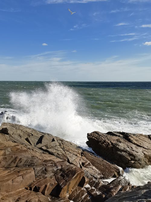 Imagine de stoc gratuită din fotografiere verticală, mare, ocean