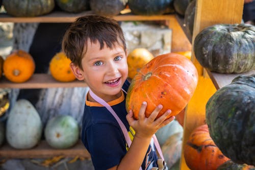 Boy with Pumpkin