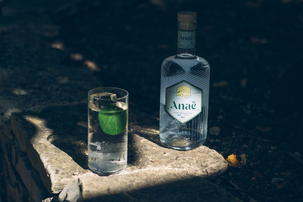 Gin sans alcool : quelles marques choisir ? - Comparatif des principales marques de gin sans alcool