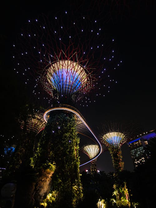 Illuminated Supertrees and Elevated Walkway in Singapore Gardens by the Bay at Night