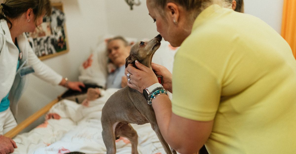The Benefits of Pet Therapy