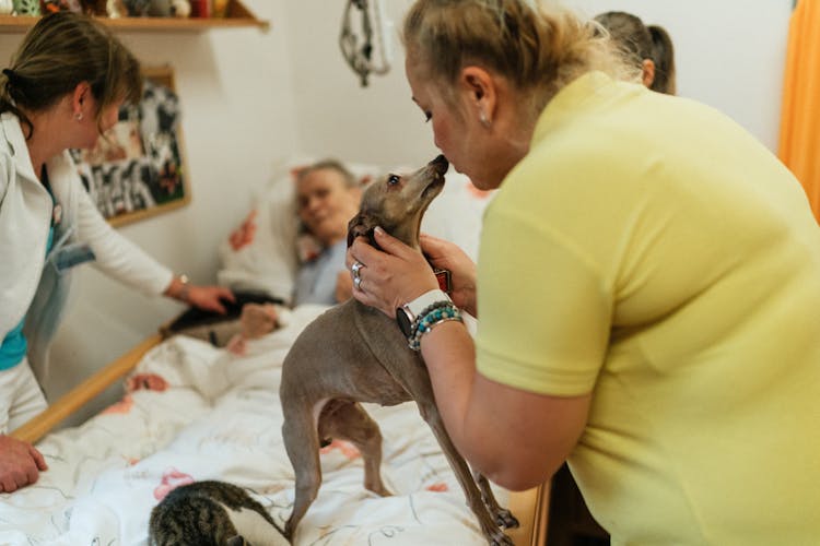 Family And Staff At The Bed Of A Senior Woman With Pets