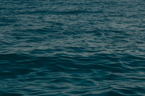 Foto stok gratis air, air biru, laut