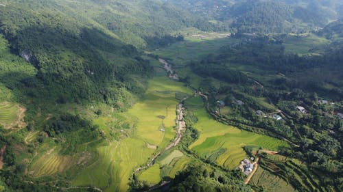 Green Valley in Countryside