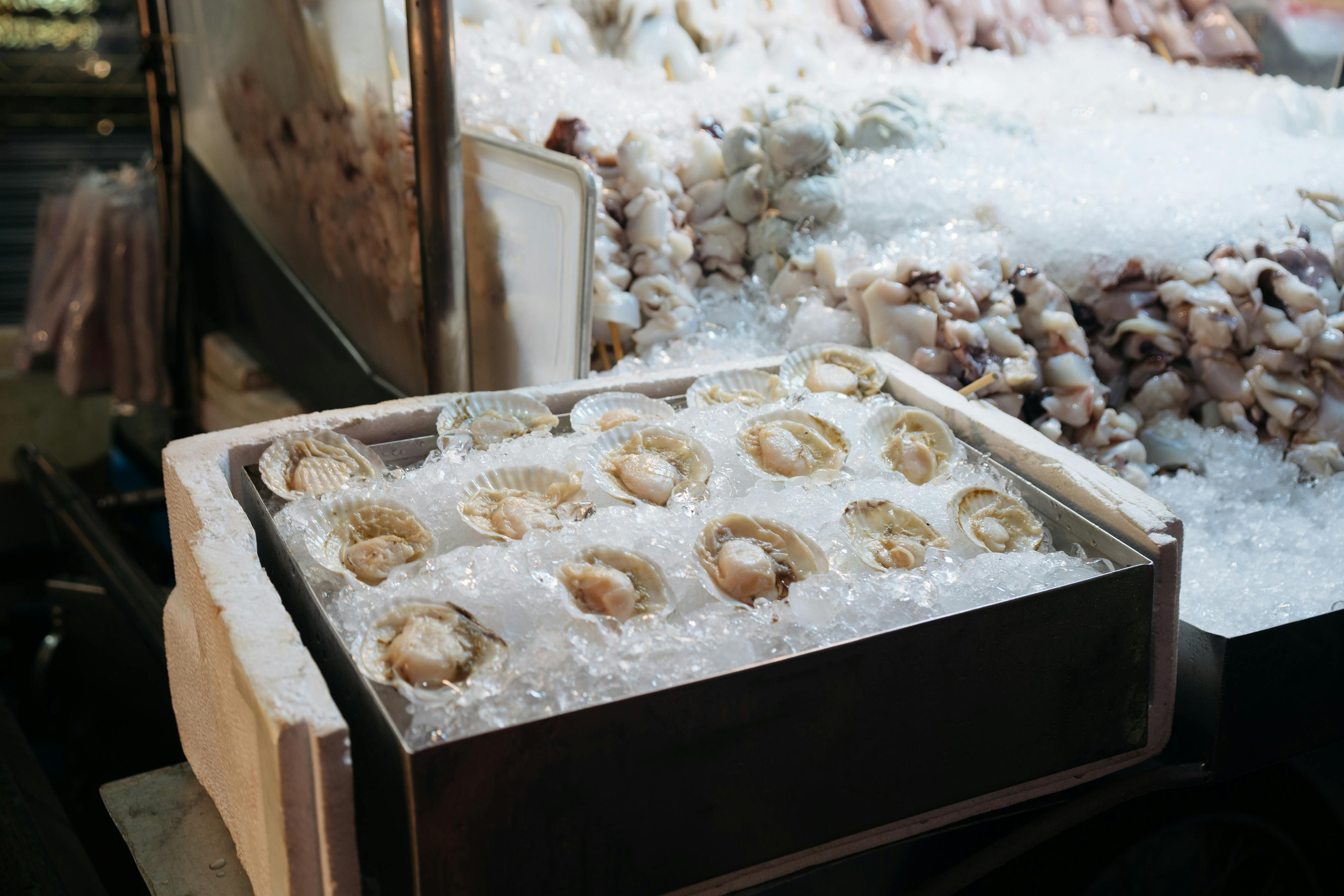 Seafood on ice at a market stall