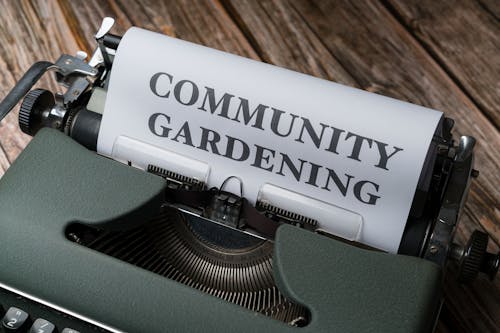 Community gardening - a new way to grow food