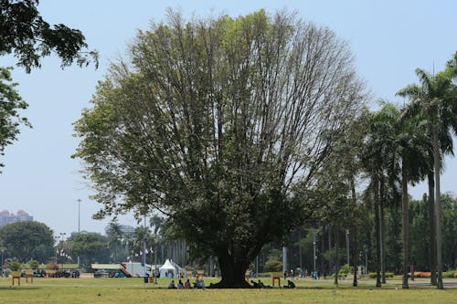 Photos gratuites de détente, été, être assis