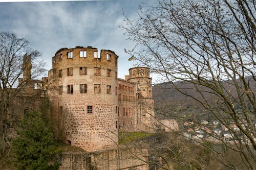 Immagine gratuita di alberi, castelli, castello