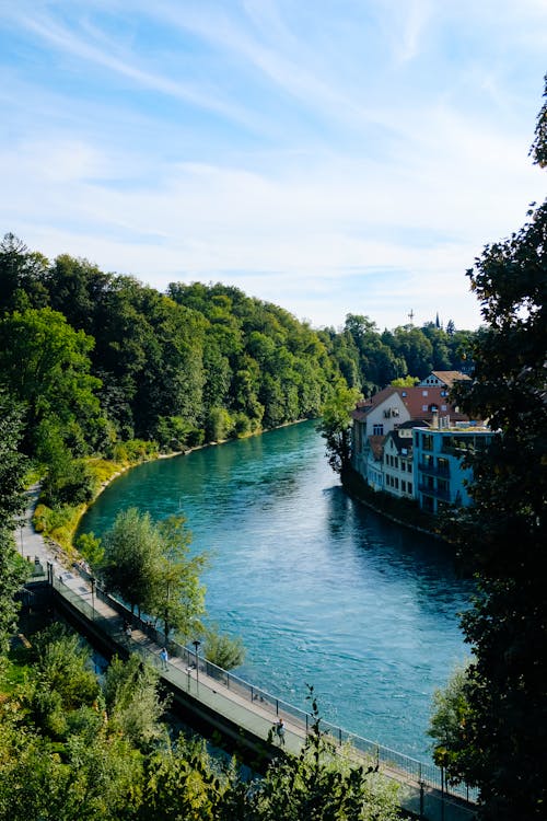 Scenic Landscape with a River 