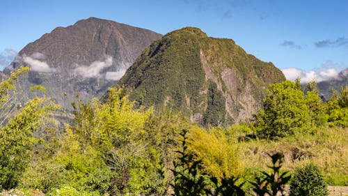 Immagine gratuita di alberi, autunno, montagne