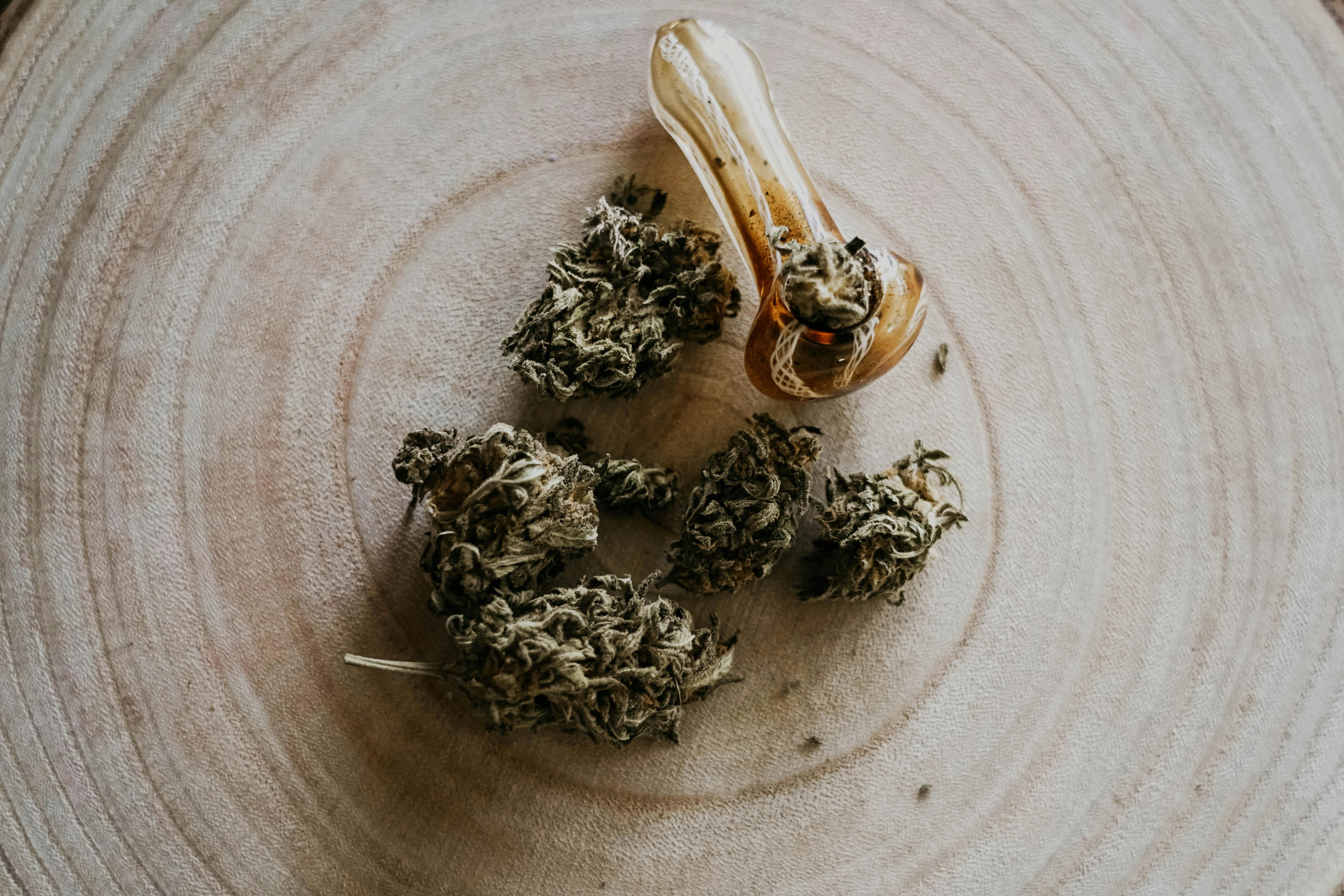 Lawsuit claims cannabis companies intentionally made false claims about medical benefits — Photo by Elsa Olofsson on Pexels