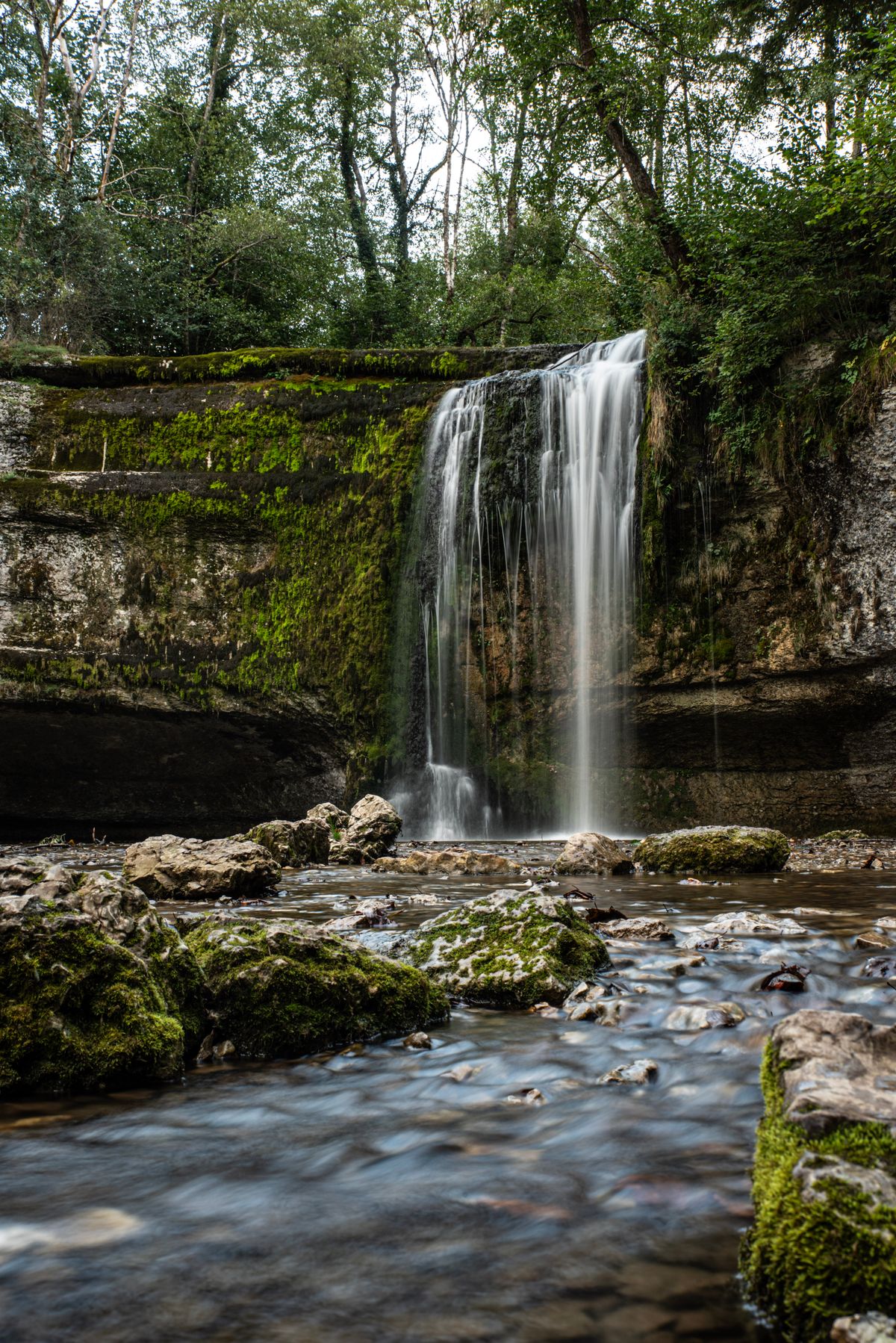 A tiered limestone forest waterfall in the Jura