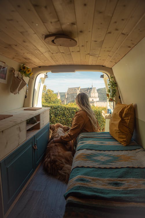 vanlife, 動物, 坐 的 免費圖庫相片