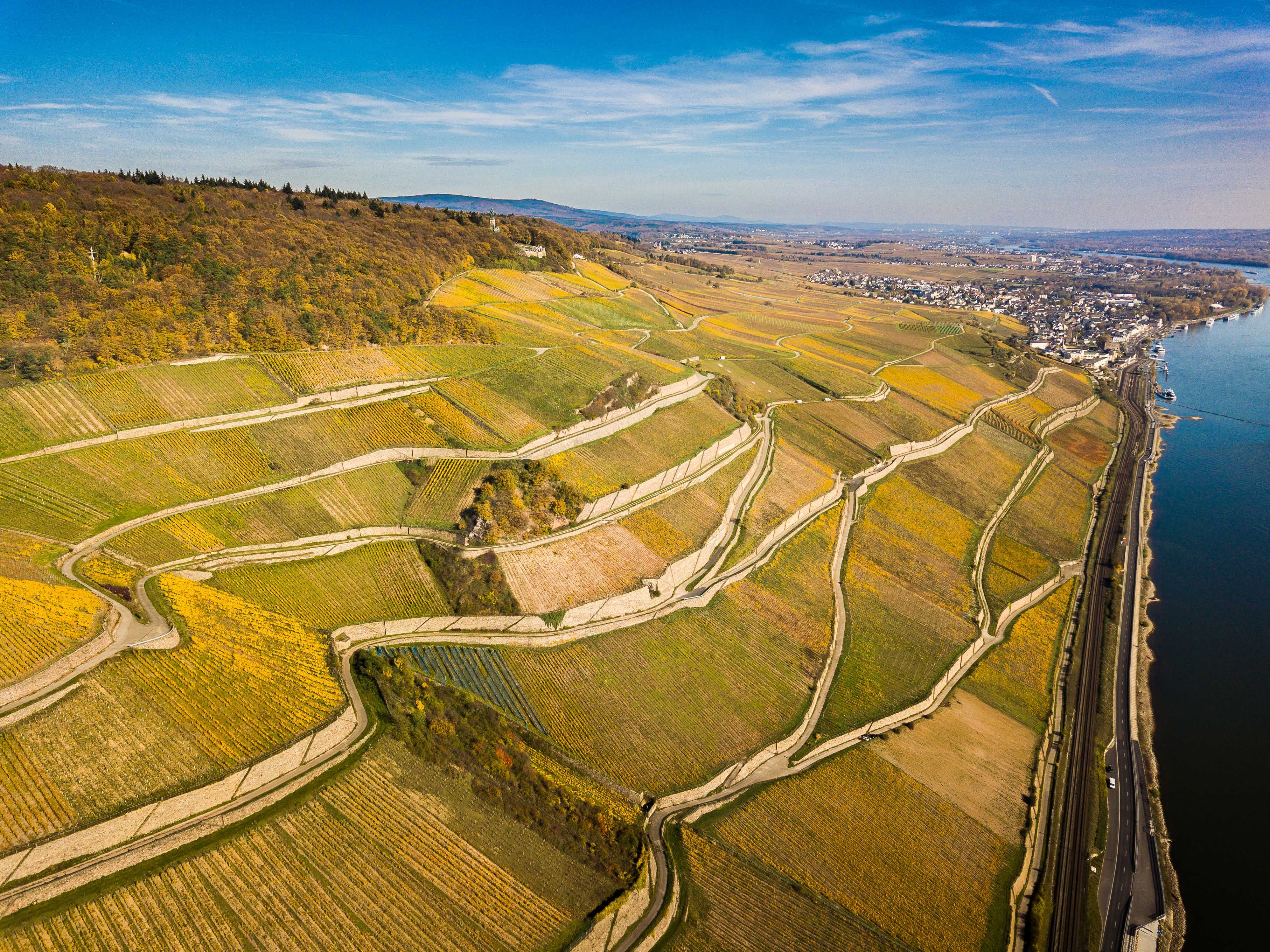 Bacharacher Hahn Vineyard Trail