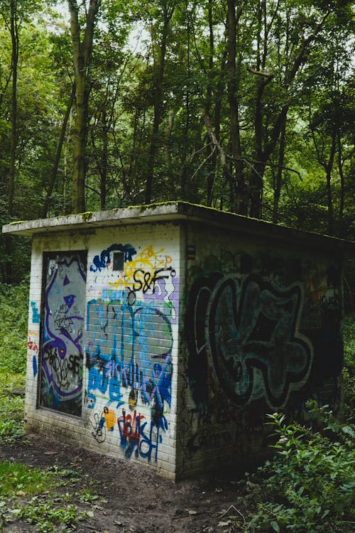 Graffiti on Shed in Forest