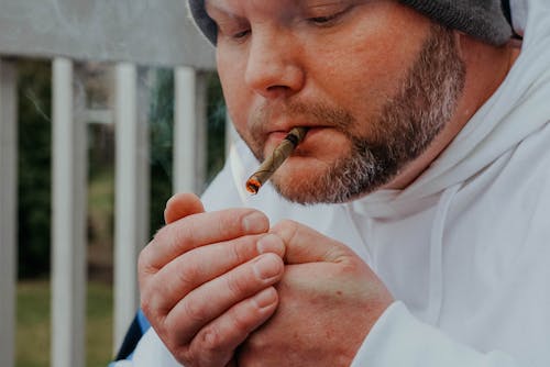Foto profissional grátis de cara, erva daninha, fumando
