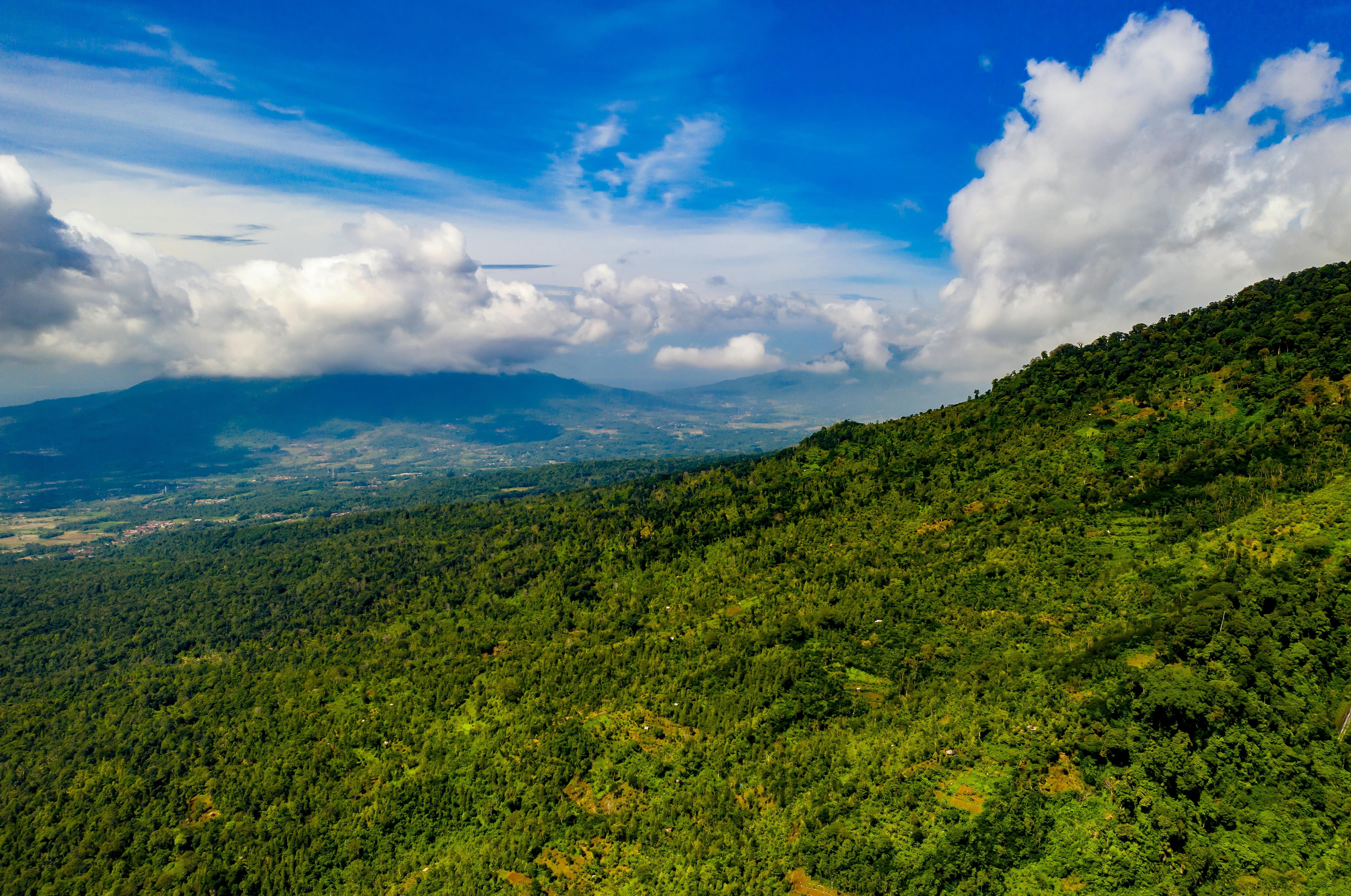 aerial photography of green mountain