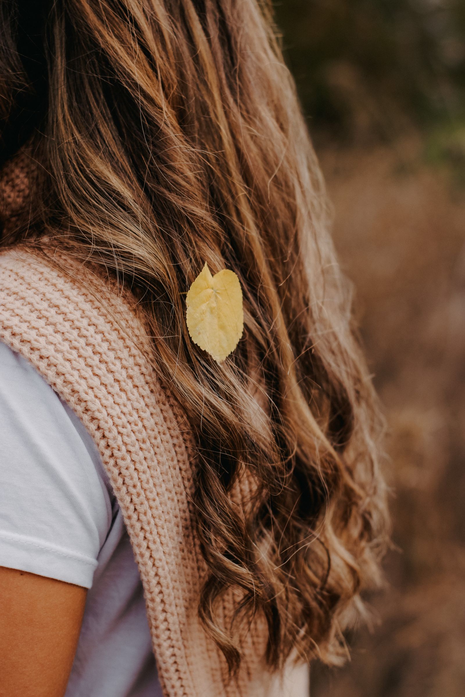 Detail of long wavy brown hair