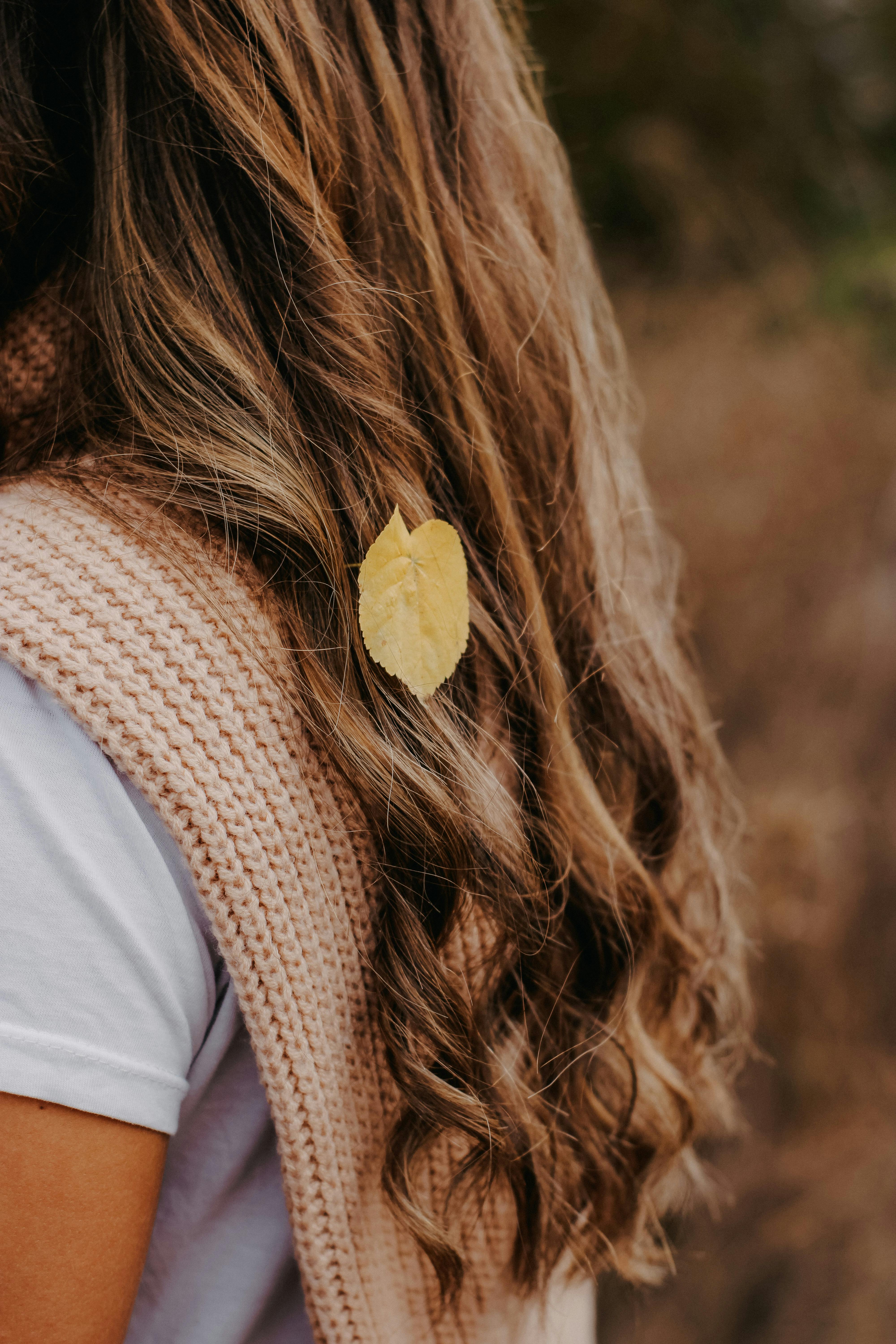 De franc Foto d'estoc gratuïta de a l'aire lliure, arrissat, beix Foto d'estoc