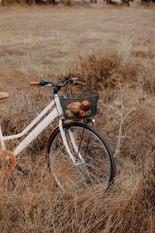 Imagine de stoc gratuită din bicicletă, cădere, câmp