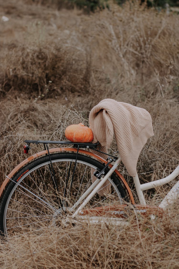 Bicycle With Pumpkin In The Field