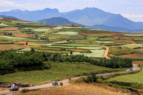 Imagine de stoc gratuită din agricultură, autoturisme, călătorie