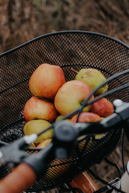 Bicycle Basket with Apples in Autumn