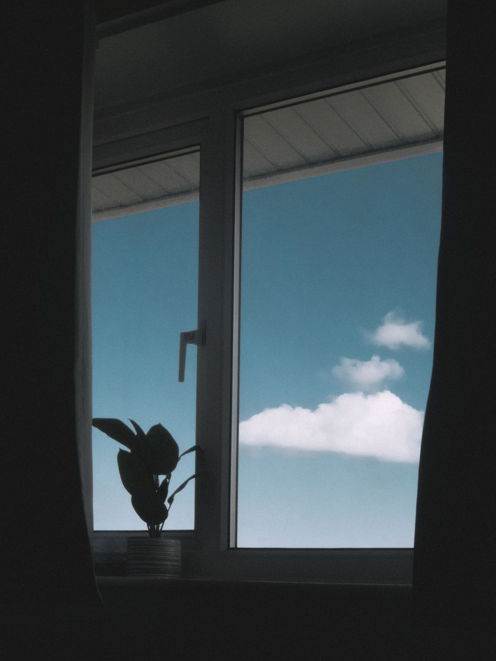 pexels photo 18512715
