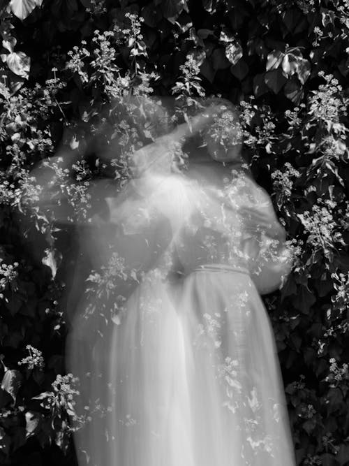 Imagine de stoc gratuită din alb-negru, blur, fantomă