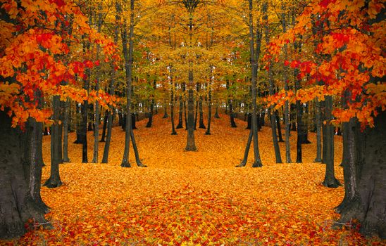 Scenic autumn forest in Bacău, Romania with vivid leaves.