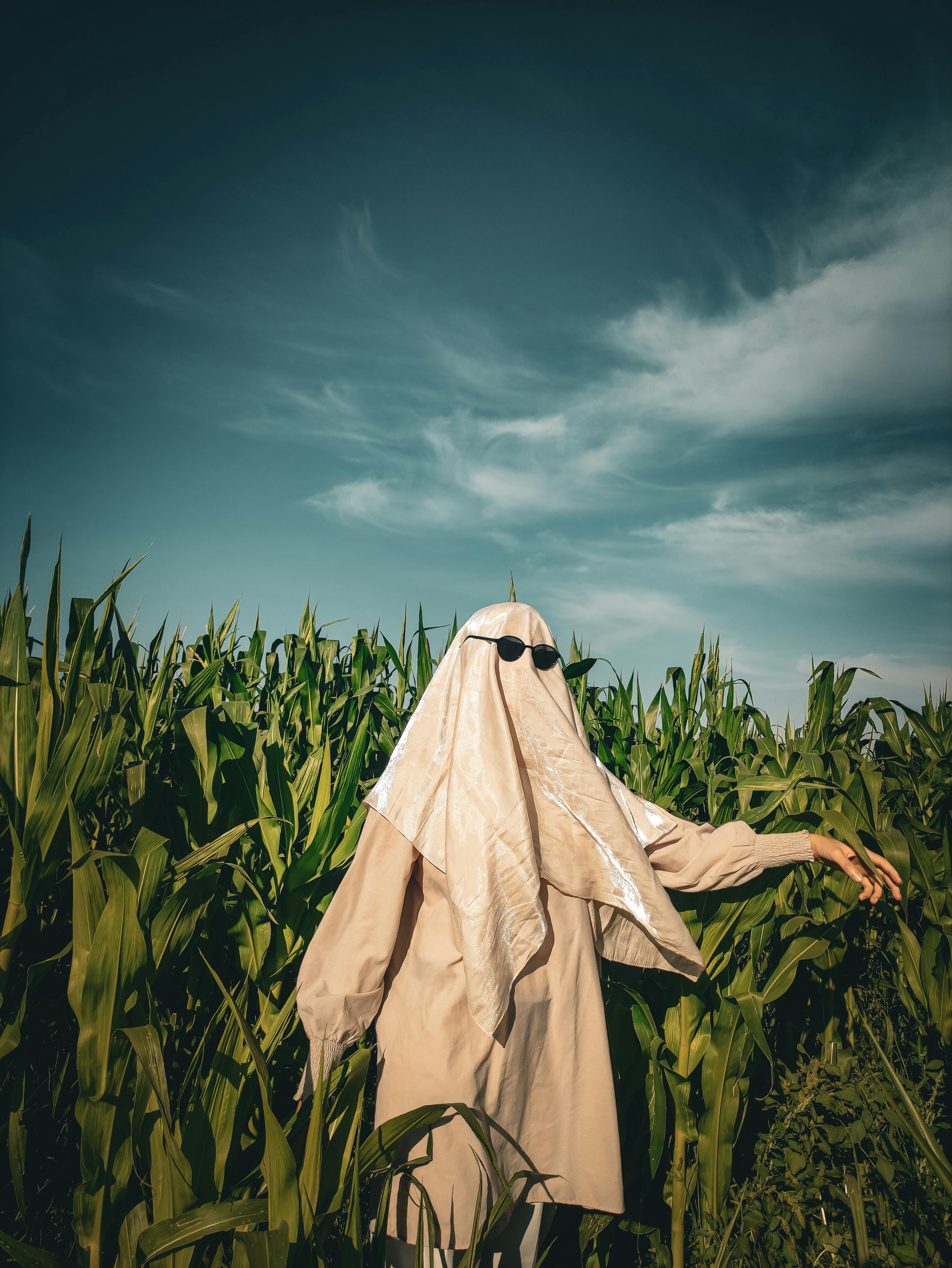 Saffron Clothing Photos, Download The BEST Free Saffron Clothing Stock