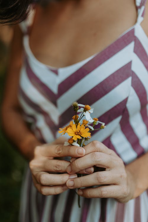 Gratis stockfoto met bloemen, gestreepte jurk, handen