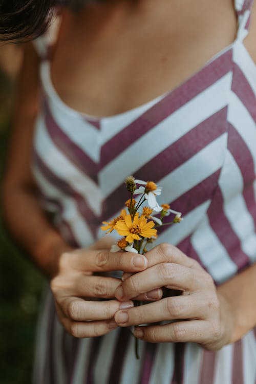 Kostenloses Stock Foto zu blumen, festhalten, frau