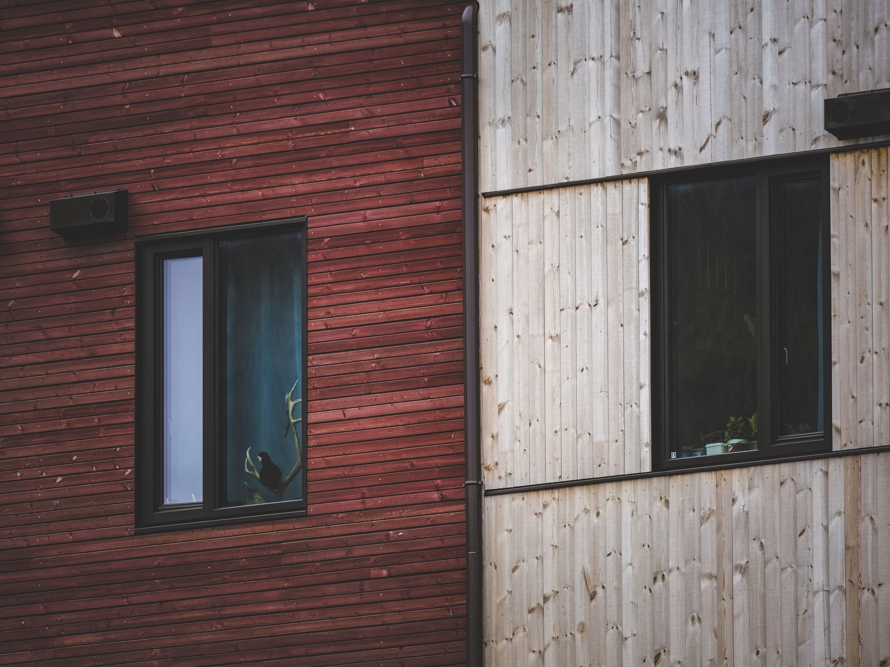 uPVC Spraying in Muswell Hill — walls rolled to an even, flat finish