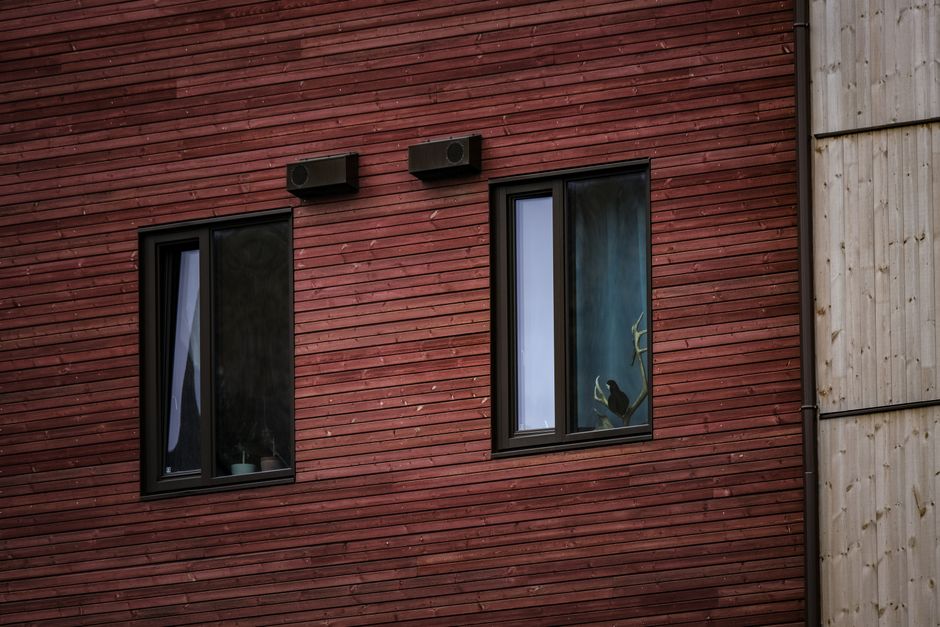Close-up of rustic wooden building facade with two black-framed windows and visible interior decor.