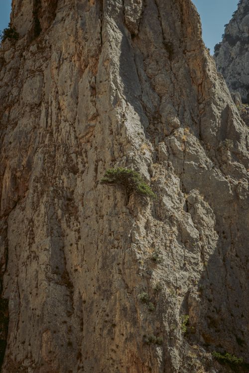 Free A majestic vertical rock formation showcasing eroded granite texture under bright daylight. Stock Photo