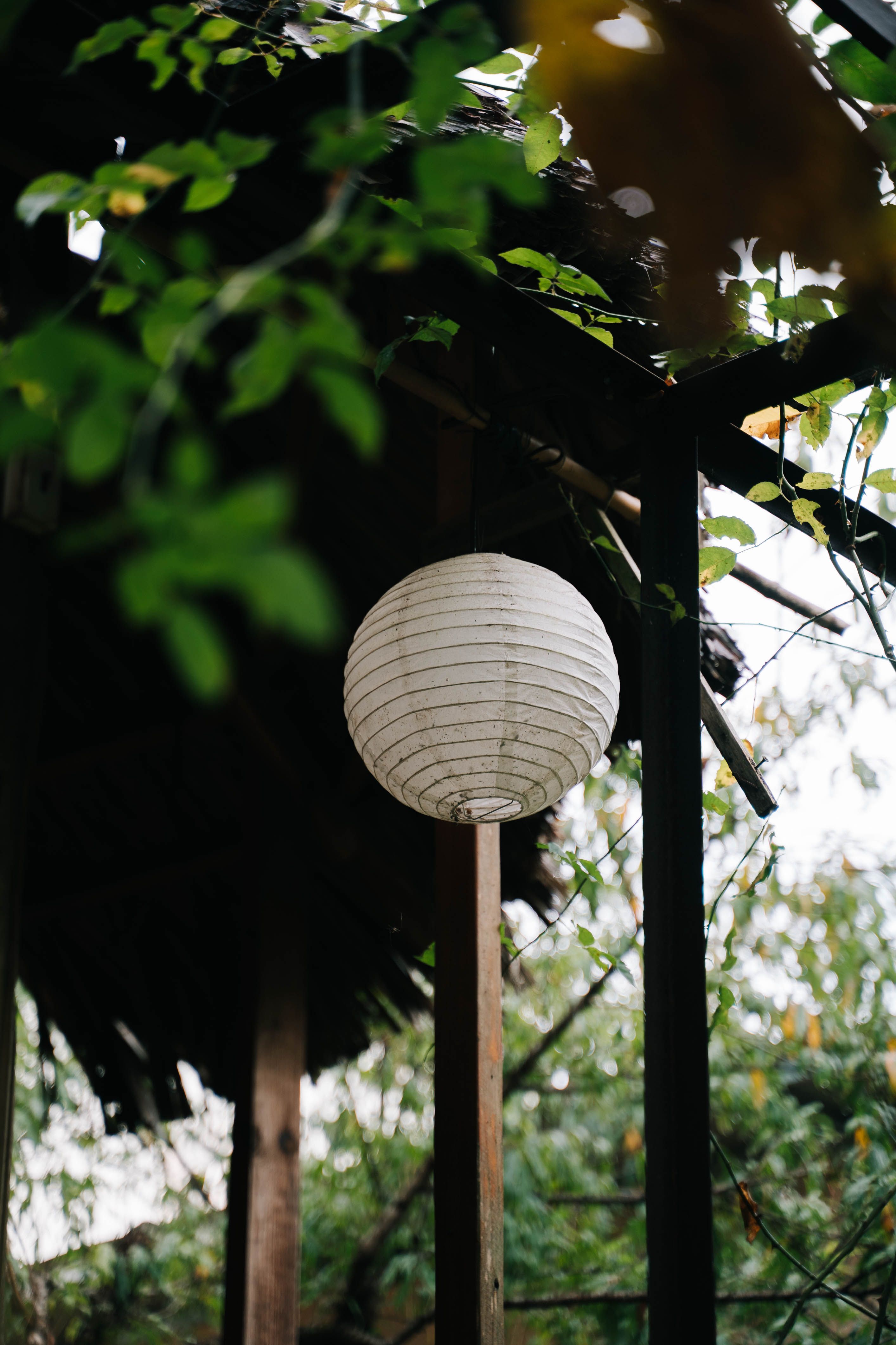white-paper-lantern-hanging-under-gazebo-ceiling-free-stock-photo
