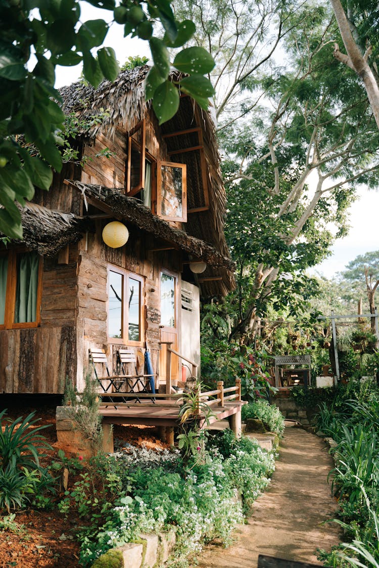 Trees And Bushes Around Wooden House