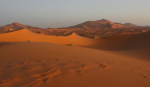 Dunes in Sandy Desert
