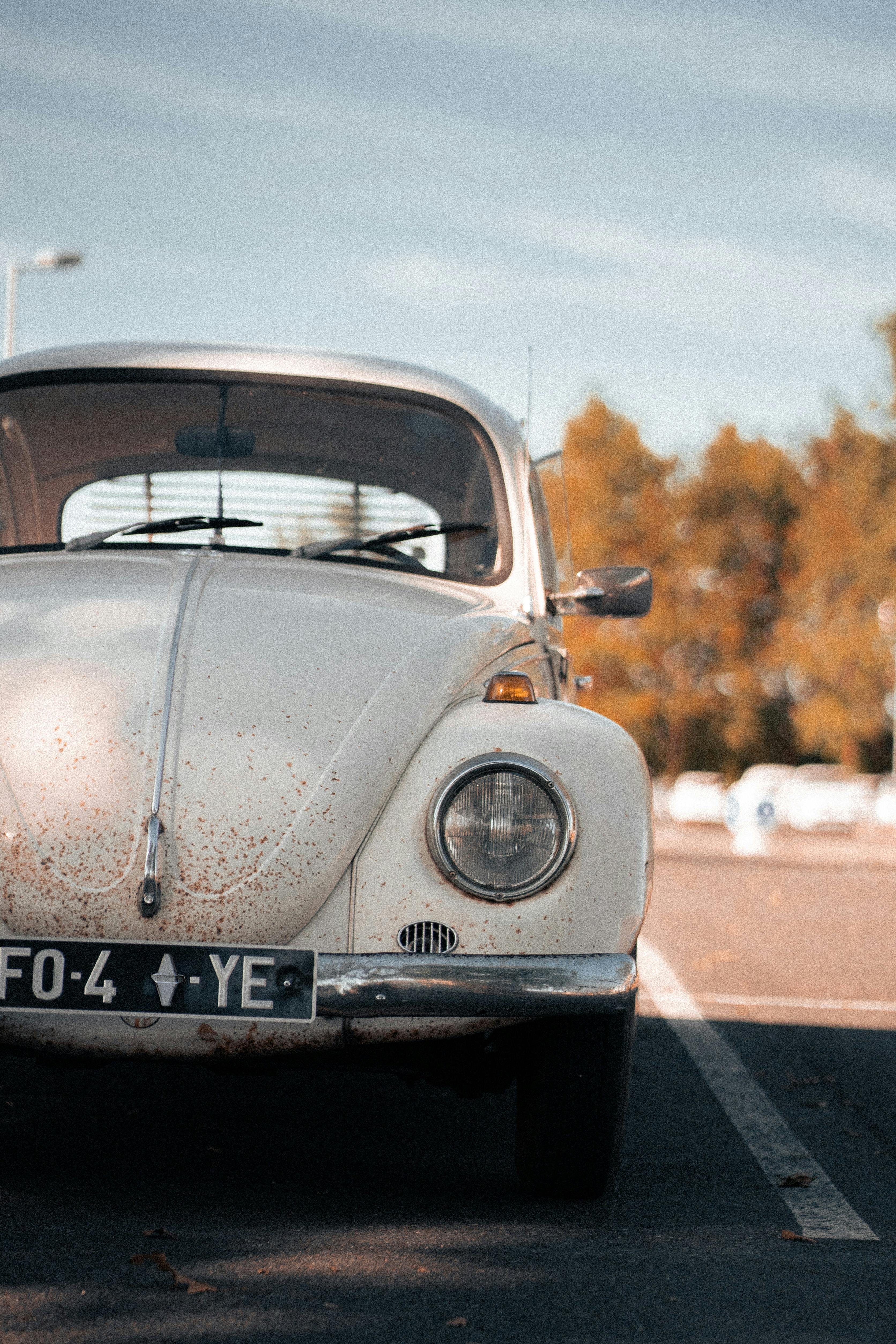 coccinelle voiture volkswagen