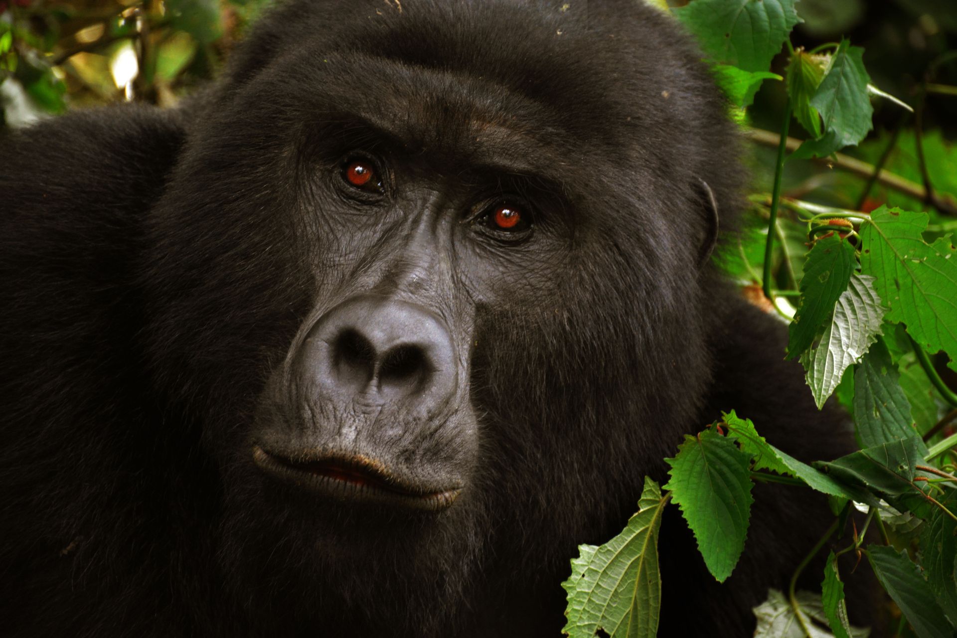 Rwanda