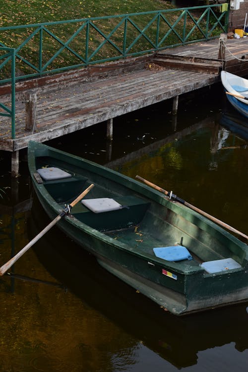 강둑, 그린 보트, 노 젓는 배의 무료 스톡 사진